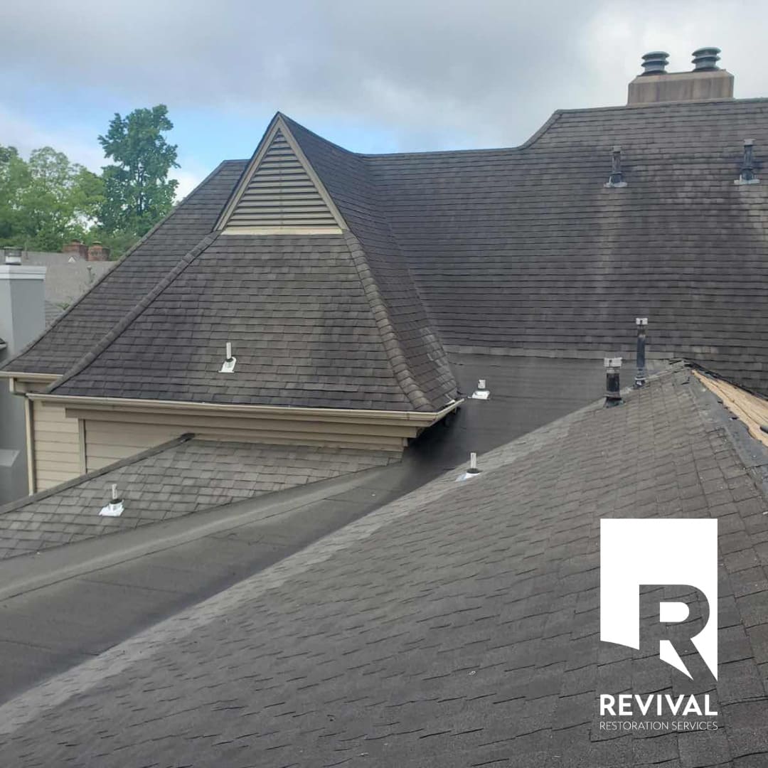 Revival Roofing project